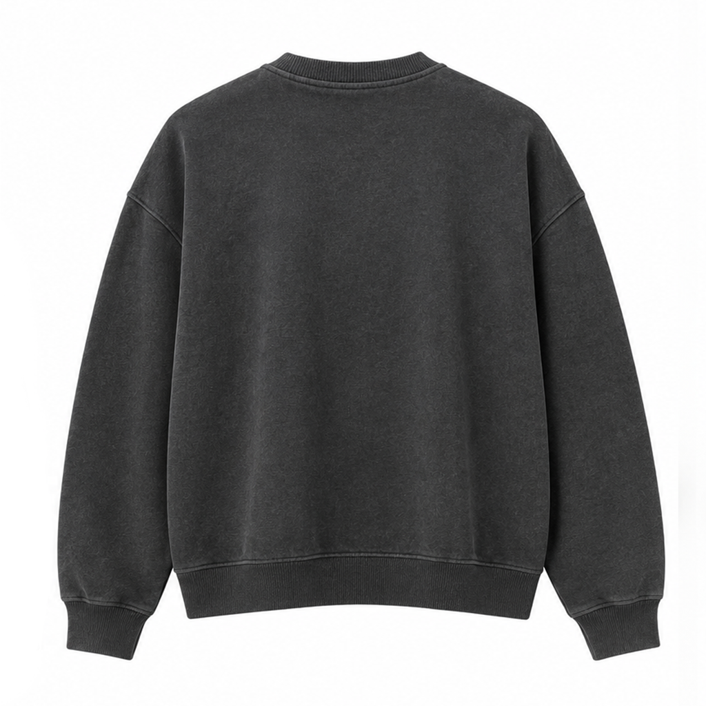 Pull WS - Gris foncé - WS University